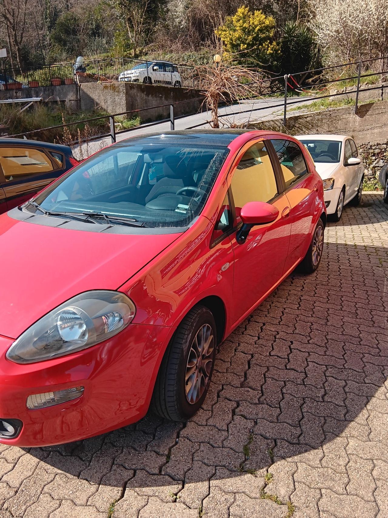 Fiat Punto Evo Punto Evo 1.2 5 porte S&S Dynamic