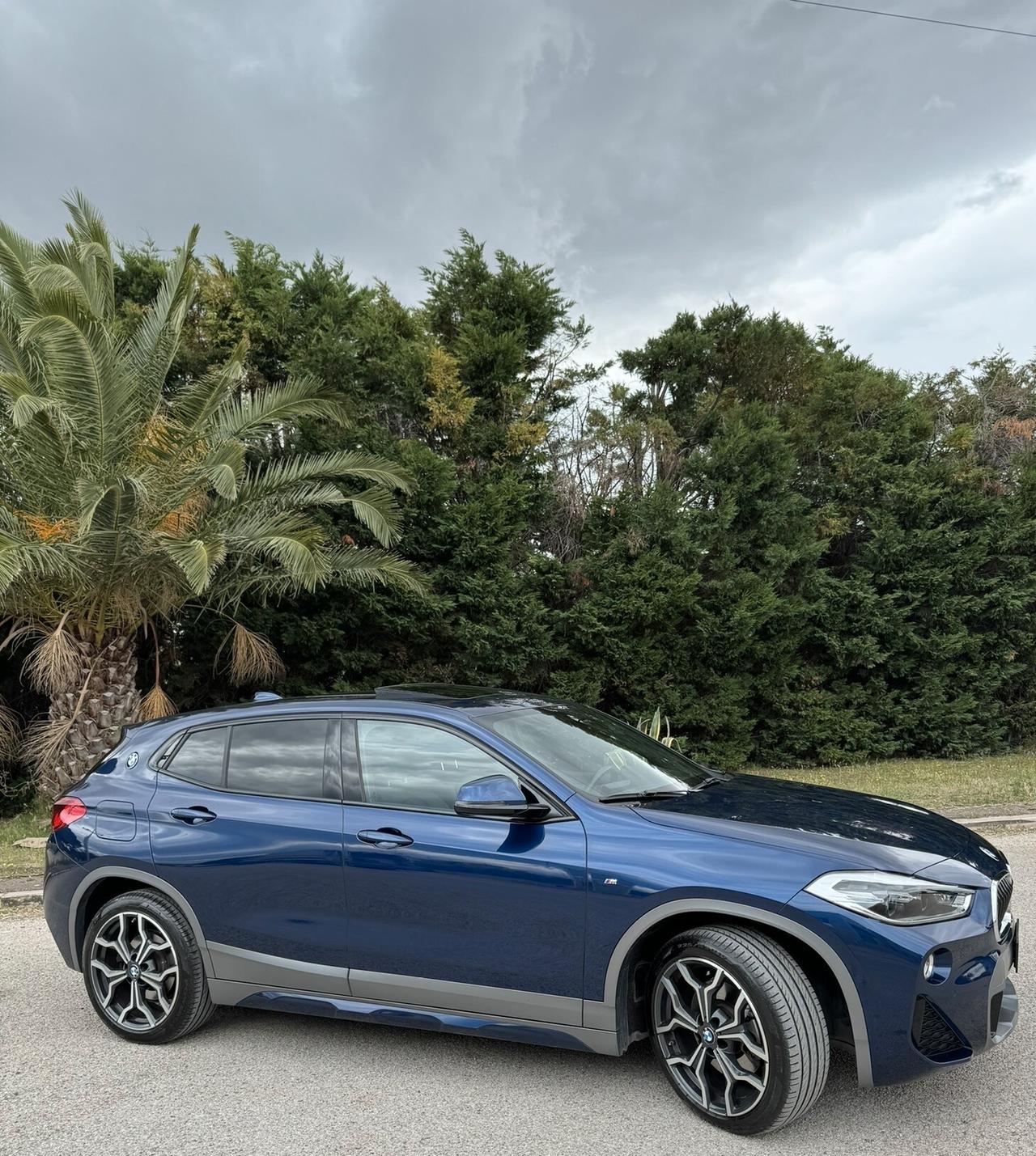 Bmw X2 xDrive20d Msport-X