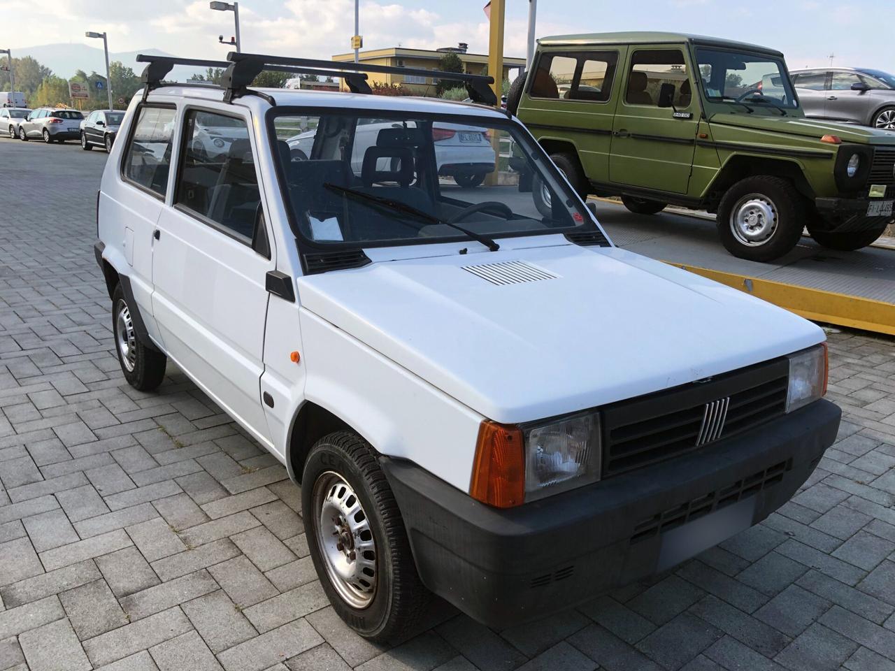 Fiat Panda 1100 i.e. cat Young