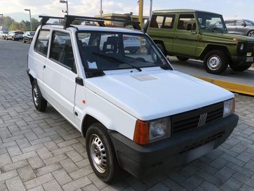 Fiat Panda 1100 i.e. cat Young