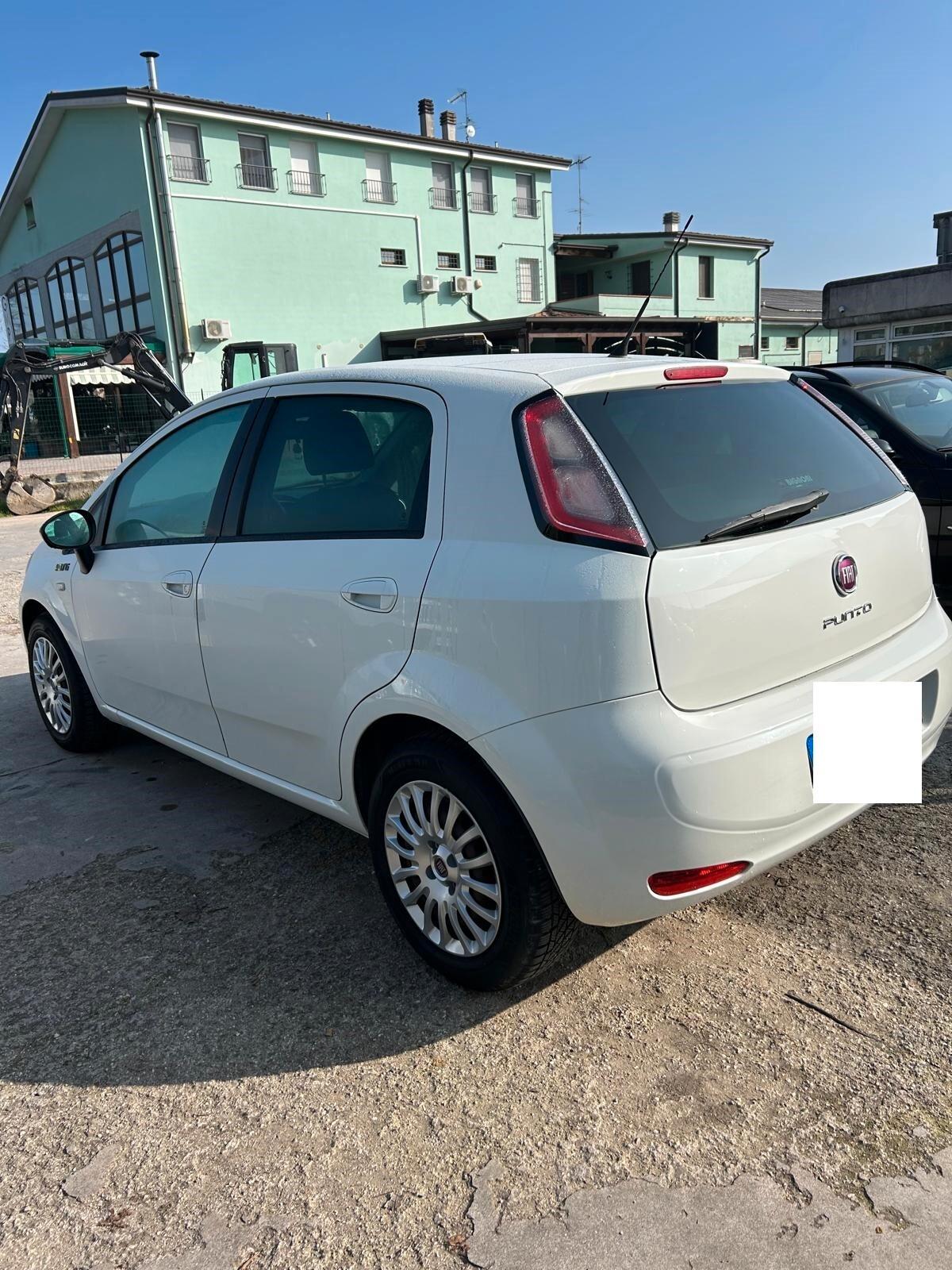 Fiat Punto 1.2 8V 5 porte Lounge ok neo patentati