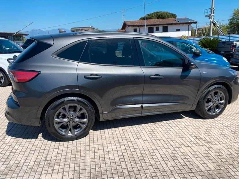 Ford Kuga 1.5 EcoBlue 120 CV aut. 2WD ST-Line X