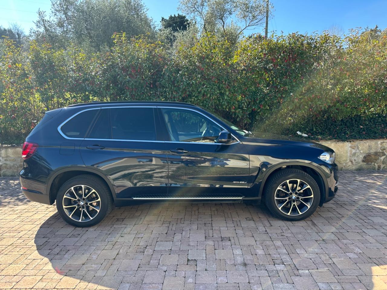 Bmw X5 sDrive25d Luxury