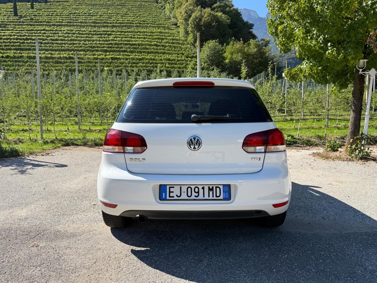 Volkswagen Golf 1.6 TDI DPF 5p. Highline