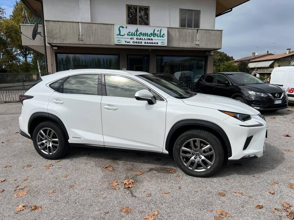 Lexus NX 300h NX Hybrid Business