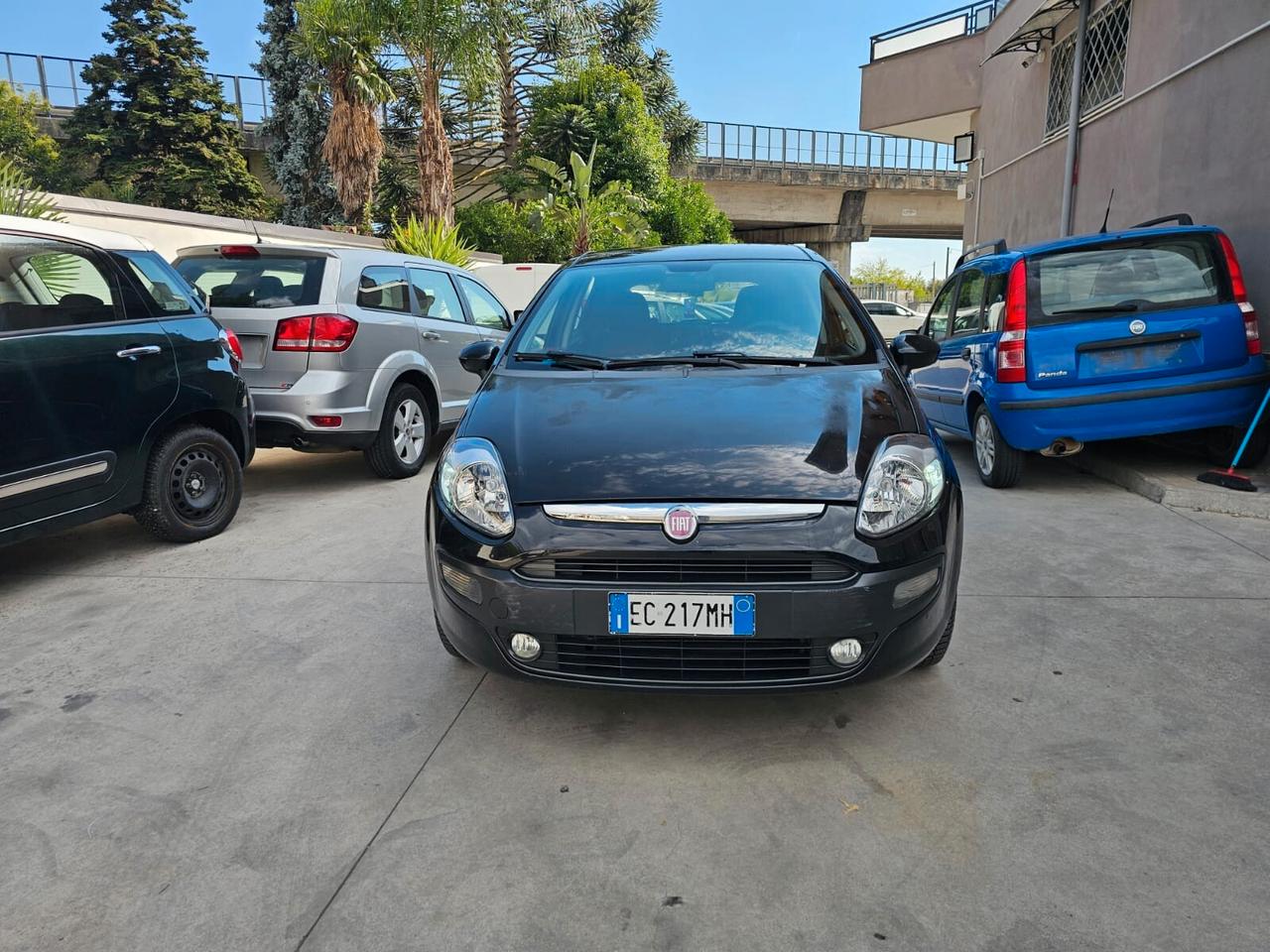 Fiat Punto Evo 1.4 3 porte Dynamic GPL