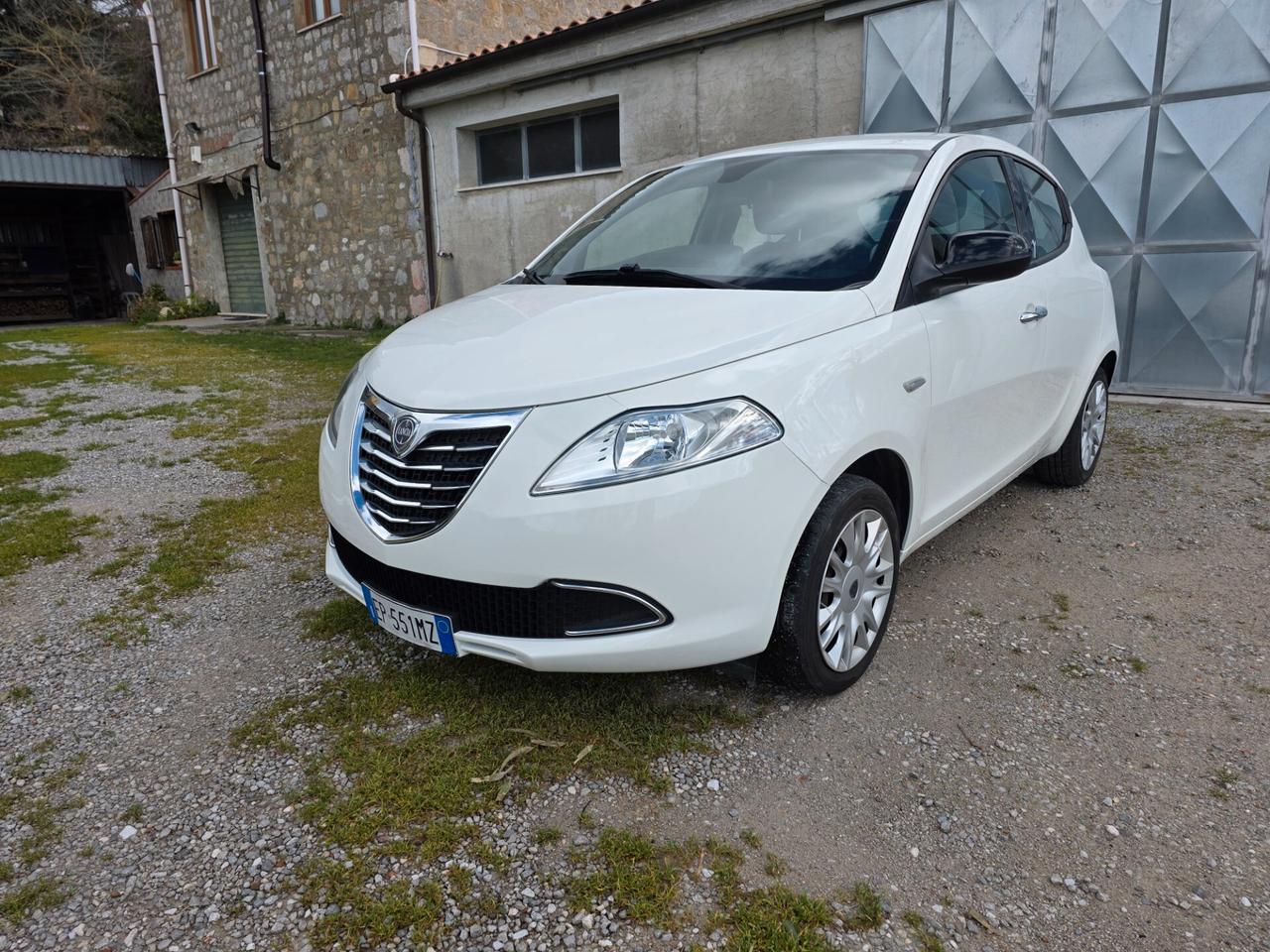 Lancia Ypsilon 1.3 MJT 16V 95 CV 5 porte S&S Platinum