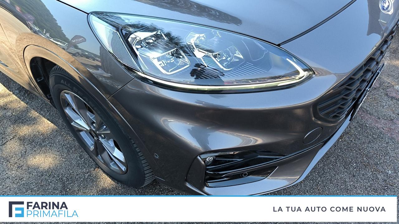 FORD Kuga III 2020 - Kuga 1.5 ecoblue ST-Line X 2wd 120cv auto