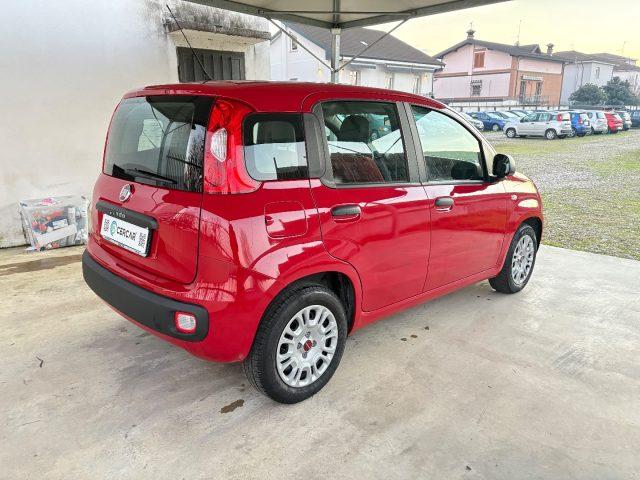 FIAT Panda 1.2 Pop UNICO PROPRIETARIO POCHI CHILOMETRI