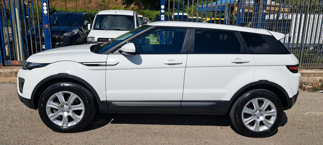 Land Rover Range Evoque 2.0 TD4 150 CV 5p. Business Edition SE