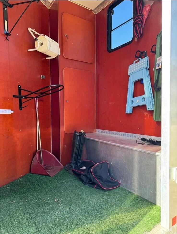 Iveco Daily 50 C11 trasporto per 3 cavalli patente B