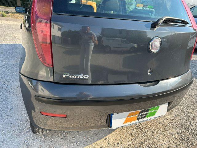FIAT Punto OK NEO PAT. GPL Classic 1.2 5 porte Active