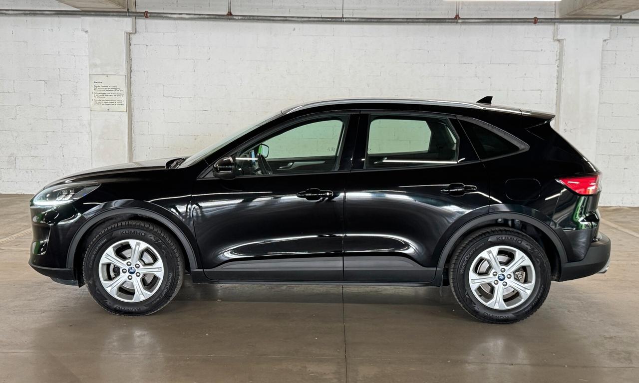 Ford Kuga 1.5 EcoBlue 120 CV 2WD Titanium