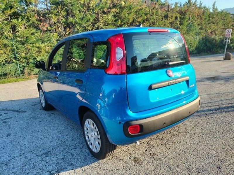 FIAT Panda Panda 1.0 FireFly S&S Hybrid Icon, 5 posti e stereo Bluetooth con comandi al volante!