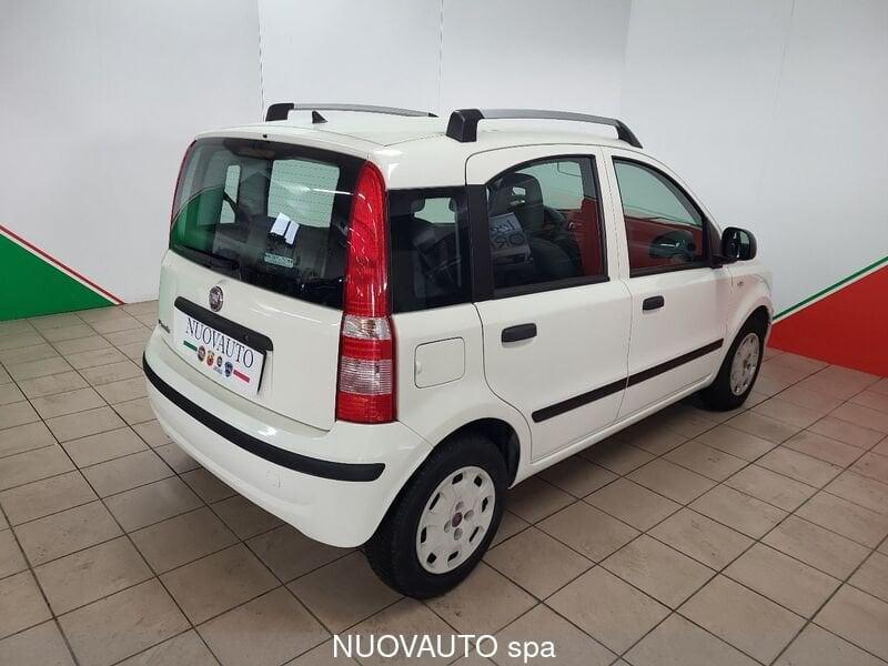 FIAT Panda Panda 1.2 Dynamic GPL