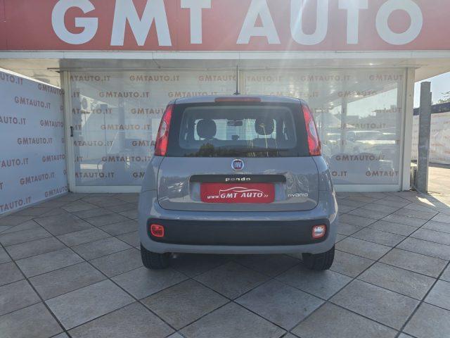 FIAT Panda 1.0 69CV HYBRID GARANZIA OTTIME CONDIZIONI