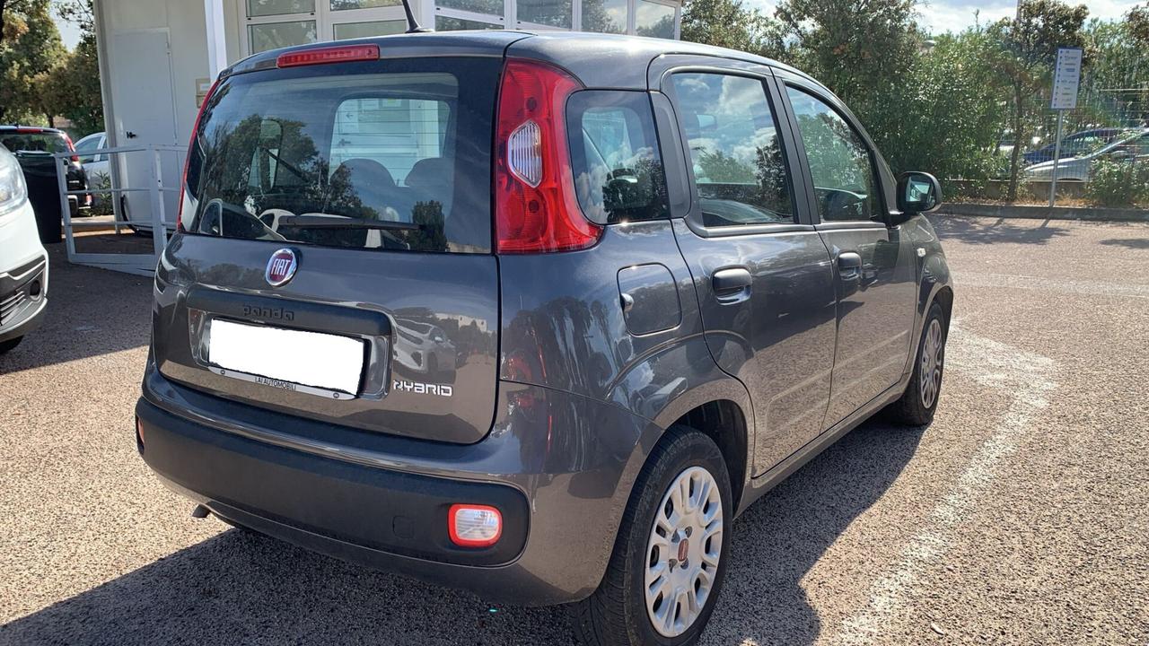 Fiat Panda 1.0 FireFly S&S Hybrid GARANZIA 1 ANNO