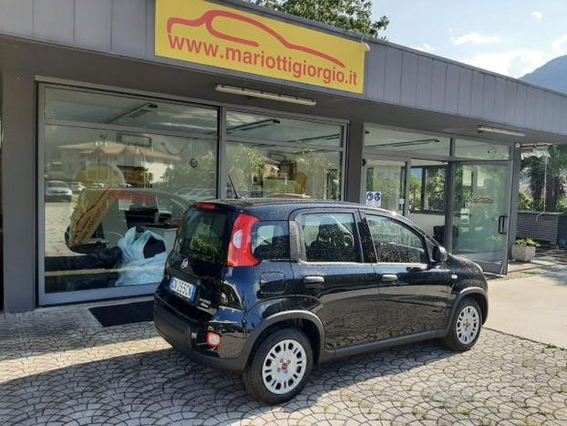 FIAT Panda 1.0 FireFly S&S Hybrid - OK NEOPATENT