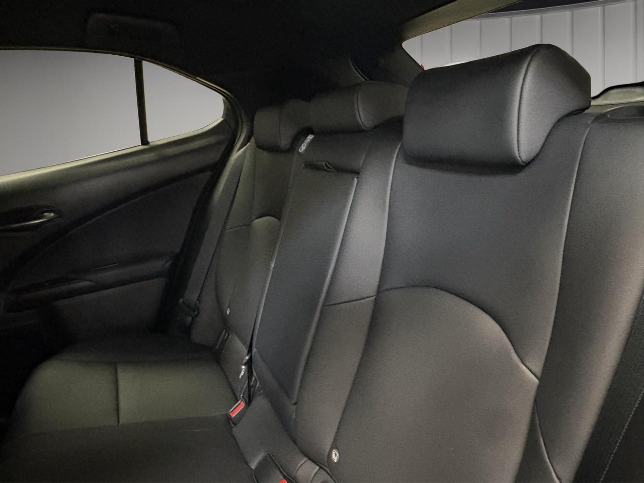 Lexus UX 300h 2.0 F-Design 4wd cvt