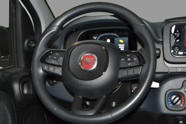 FIAT PANDA - PANDA 1.0 70CV HYBRID ICON