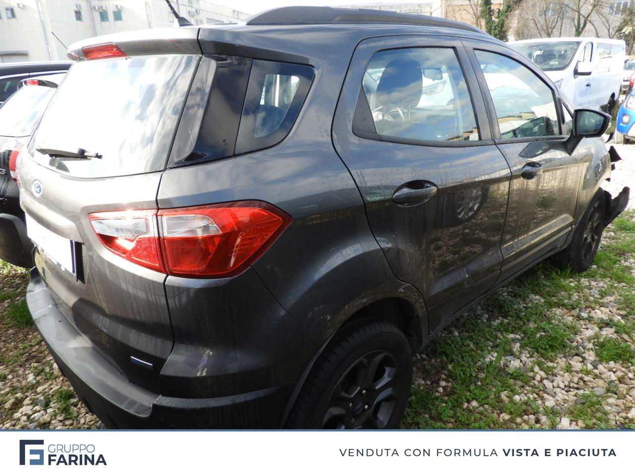 FORD EcoSport - EcoSport 1.5 tdci Plus s&s 100cv my18