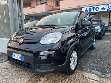 FIAT Panda 1.0 hybrid 5p CITY LIFE Cerchi in lega/PDC Post.