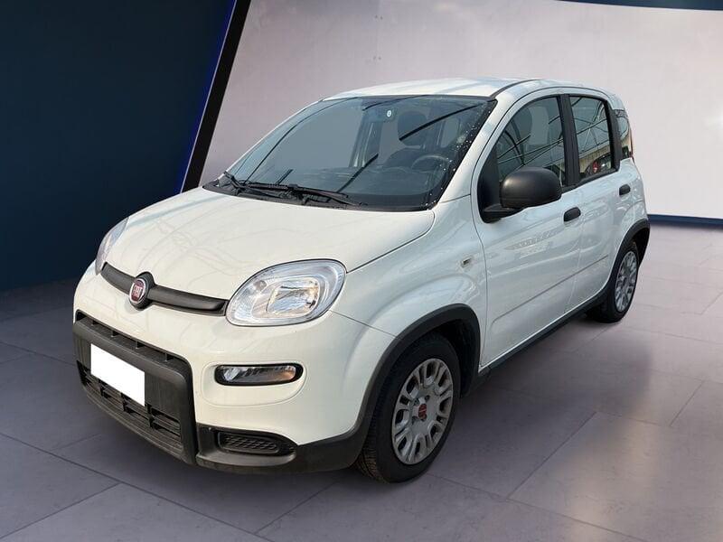 FIAT Panda My23 1.0 70cv Hybrid Panda