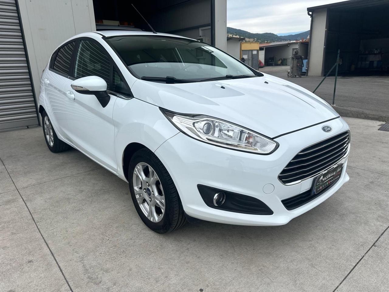 Ford Fiesta 1.5 TDCi 75CV 5 porte Black & White Edition