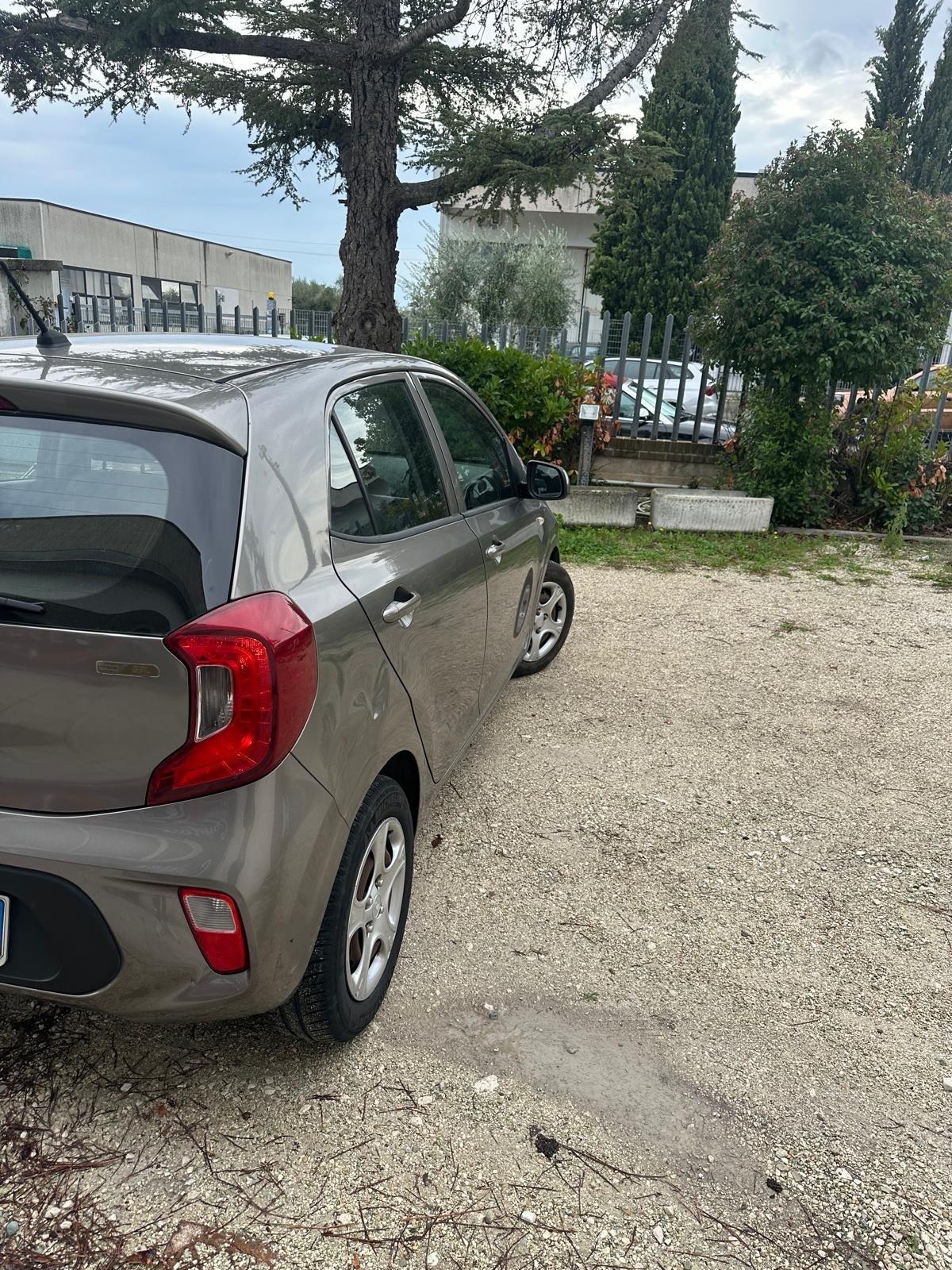 Kia Picanto 1.0 12V EcoGPL 5 porte Active