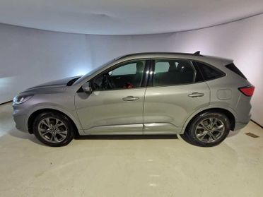 FORD KUGA 1.5 EcoBlue 120CV 2WD ST-Line Auto