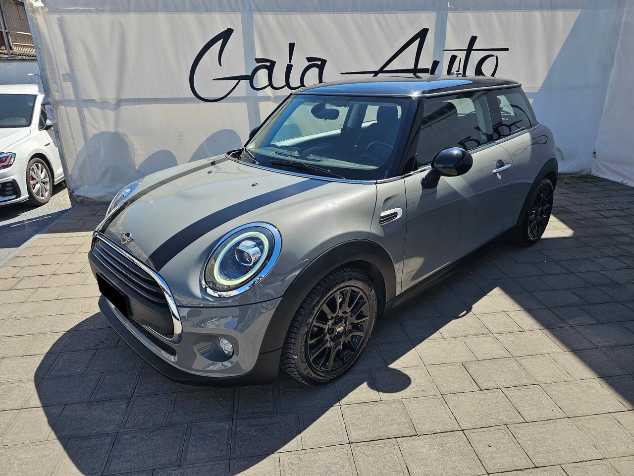 Mini Mini 1.5 One D Hype