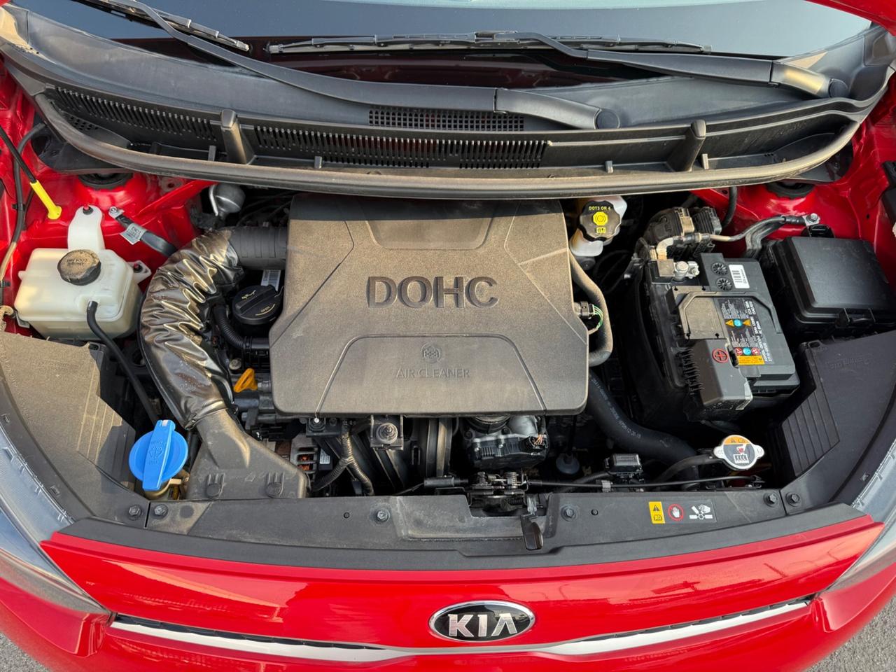 Kia Picanto 1.0 12V 5 porte Cool 83.000km E6