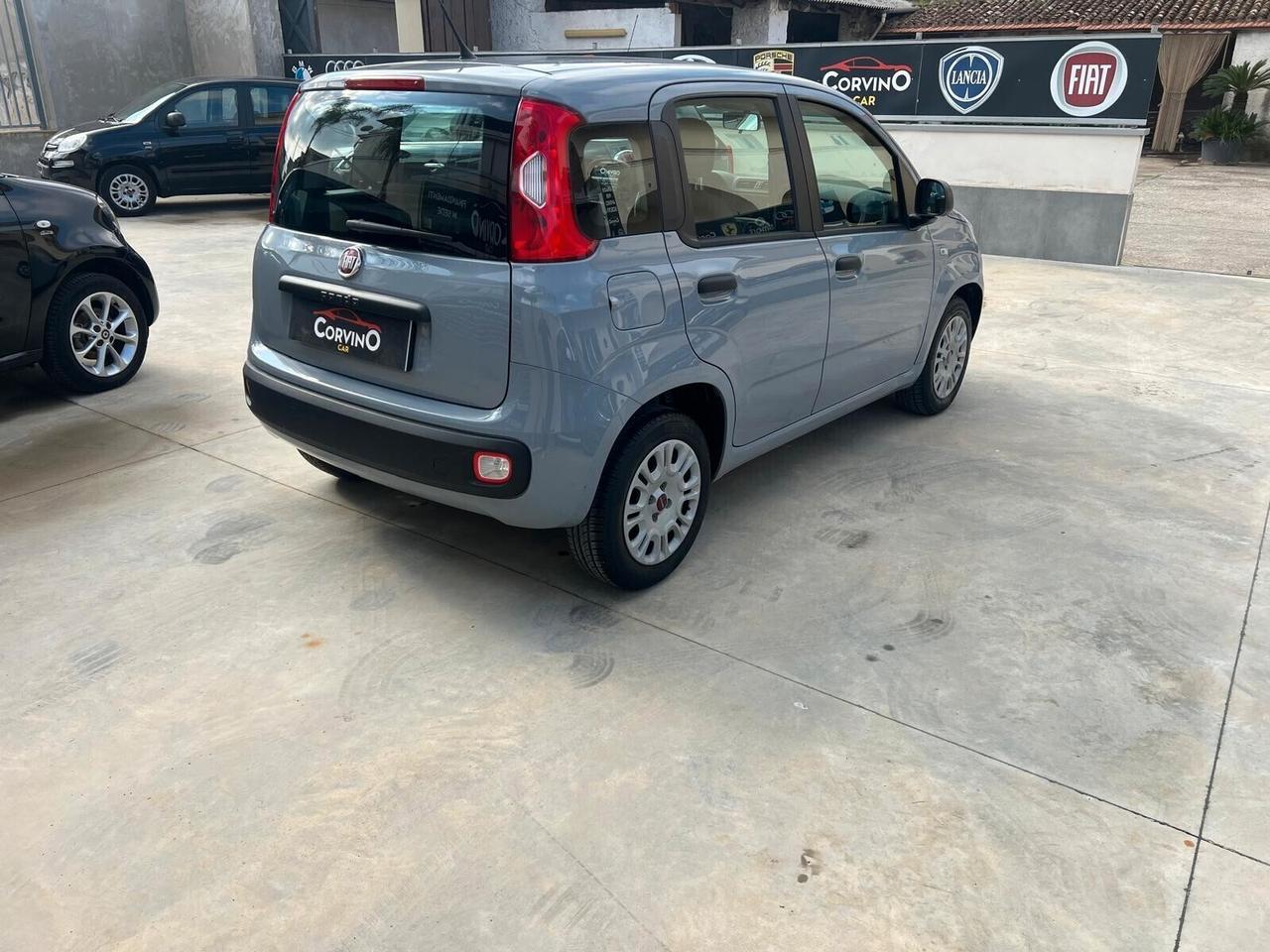 Fiat Panda 1.2 Easy berlina