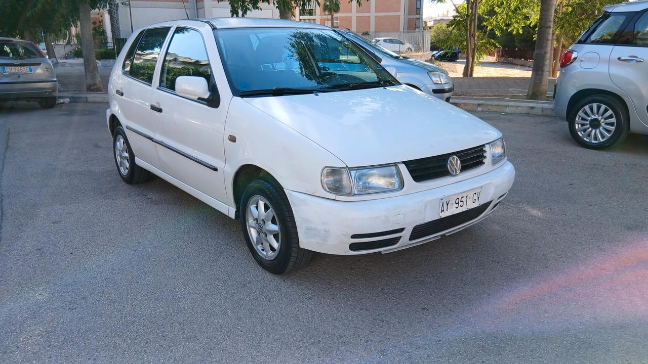 Volkswagen Polo 1.0 cat 5 porte