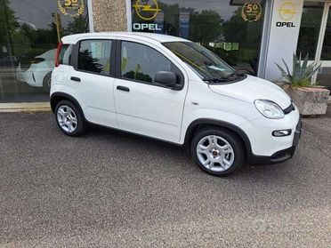 Fiat Panda Panda 1.0 firefly hybrid s