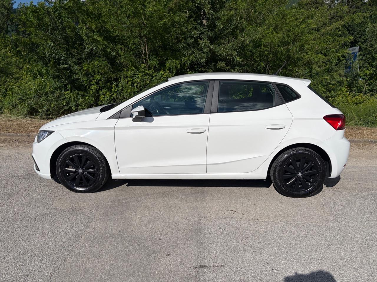 Seat Ibiza 1.6 TDI 80 CV 5 porte XCELLENCE