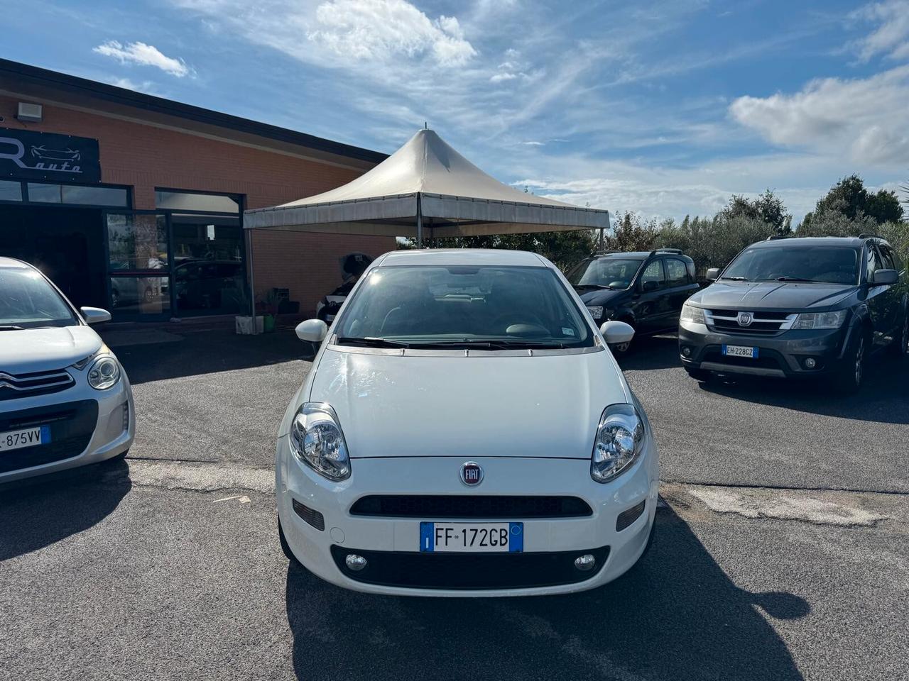 Fiat Punto 1.2 BENZ 5P NEOPATENTATI 2016