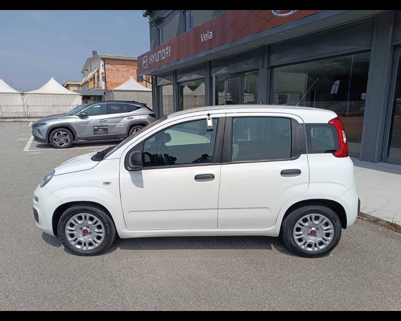 FIAT Panda III 2021 - Panda 1.0 firefly hybrid s&s 70cv