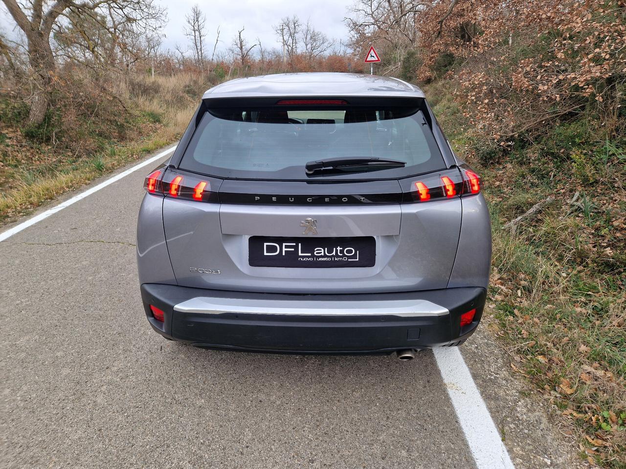 Peugeot 2008 BlueHDi 110 S&S ACTIVE