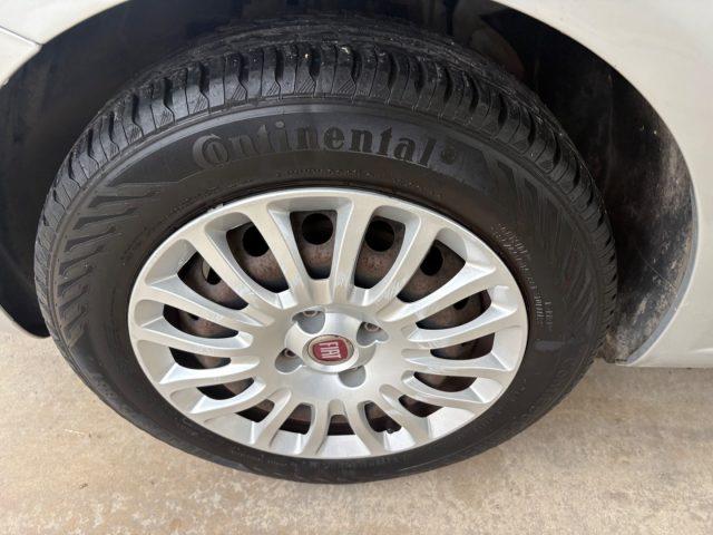 FIAT Punto 1.2 8V 5 porte Street POCHI CHILOMETRI EURO 6