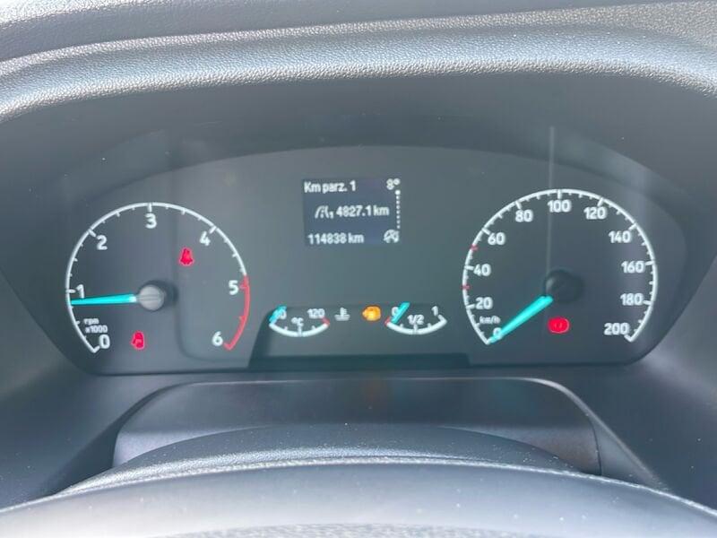 Ford Transit TRANSIT 290 L2H2 Trend 2.0 Eco MHEV 130cv