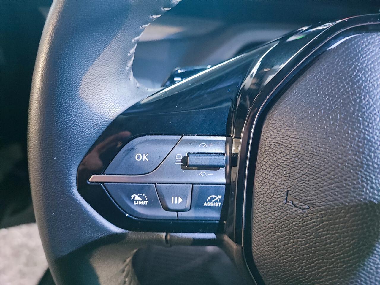 Peugeot 308 BlueHDi 130 S&S EAT8 SW GT