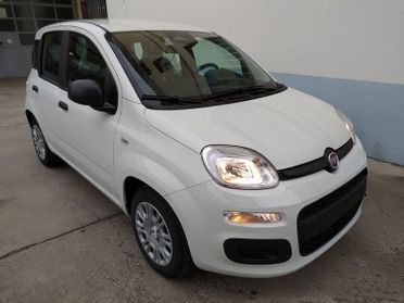 FIAT Panda 1.0 70cv Hybrid Promo Cbc26