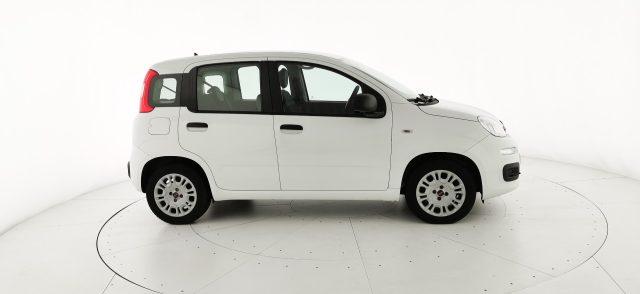 FIAT Panda 1.2 EasyPower Easy - OK NEOPATENTATO