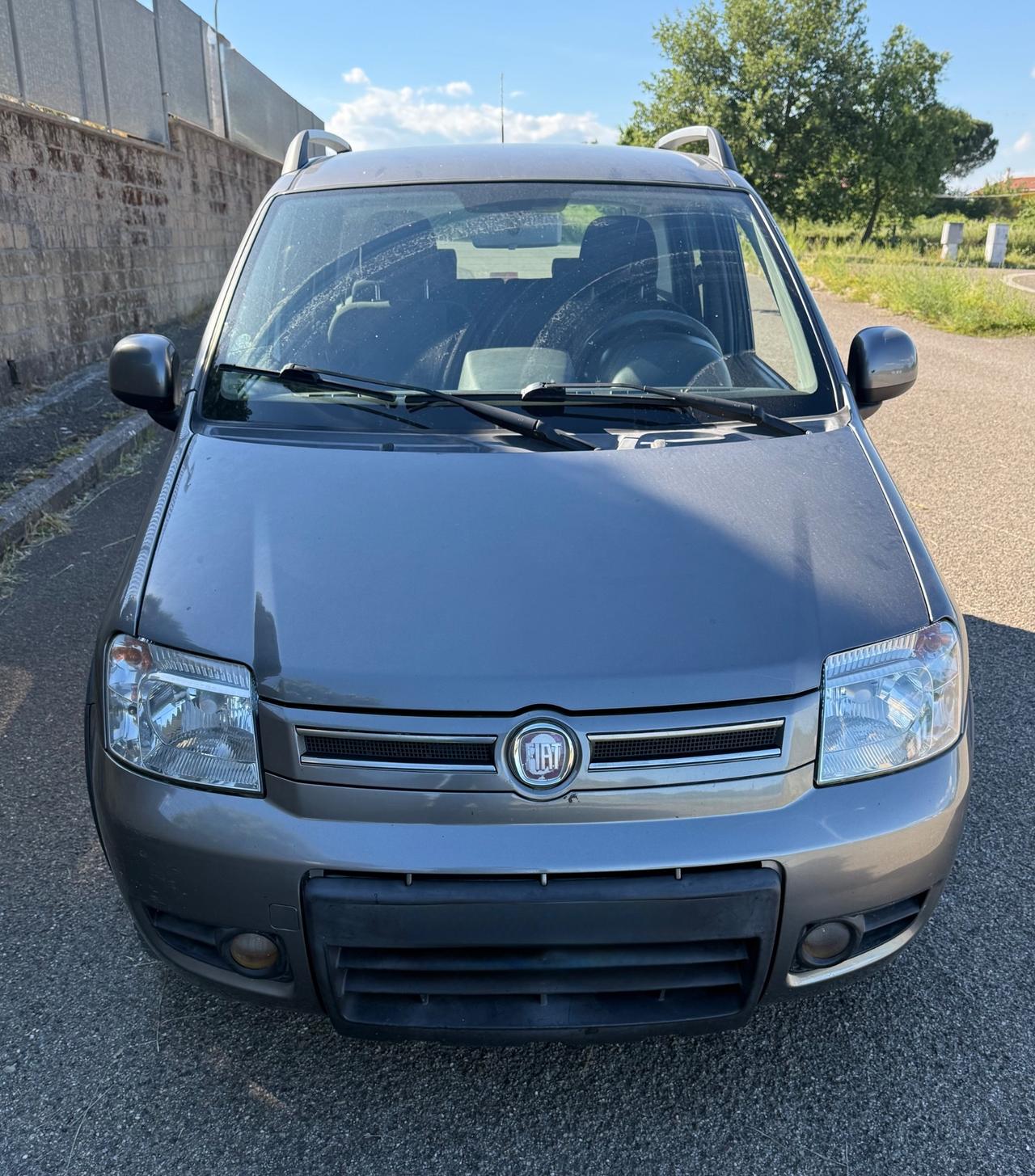 Fiat Panda 1.2 4x4 GPL