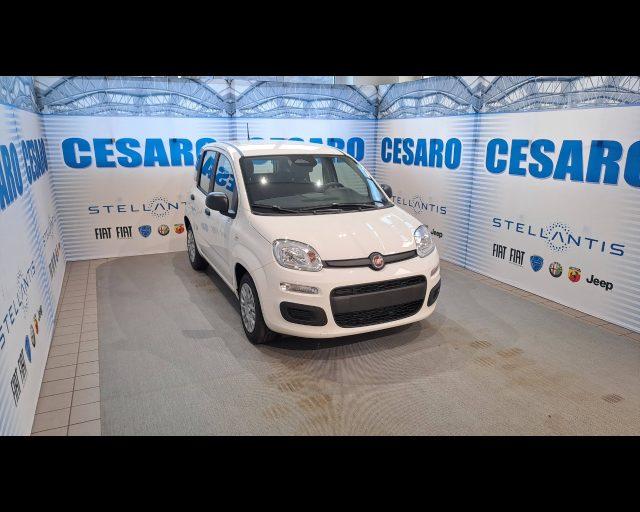 FIAT Panda 1.0 firefly hybrid Icon s&s 70cv