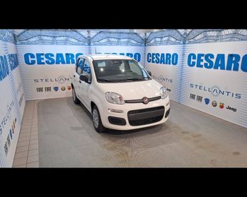 FIAT Panda 1.0 firefly hybrid Icon s&s 70cv