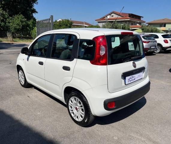 Fiat Panda 1.2 Easy easypower Gpl 69cv my19