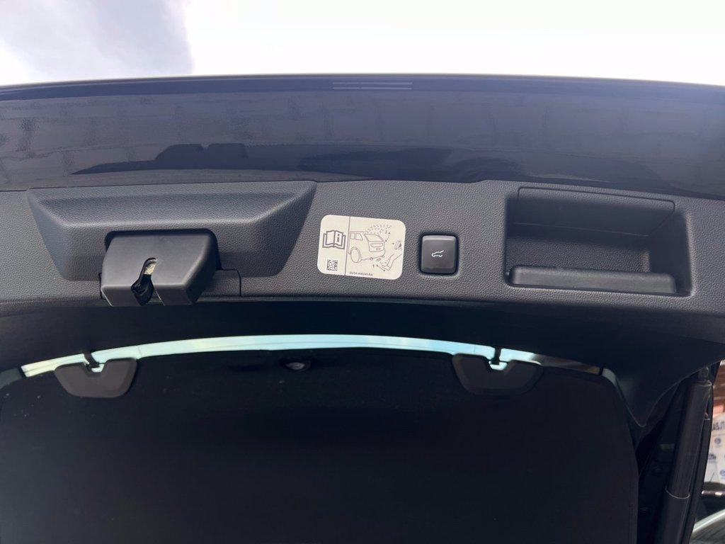 FORD Kuga 1.5 EcoBlue 120 CV 2WD Titanium del 2020