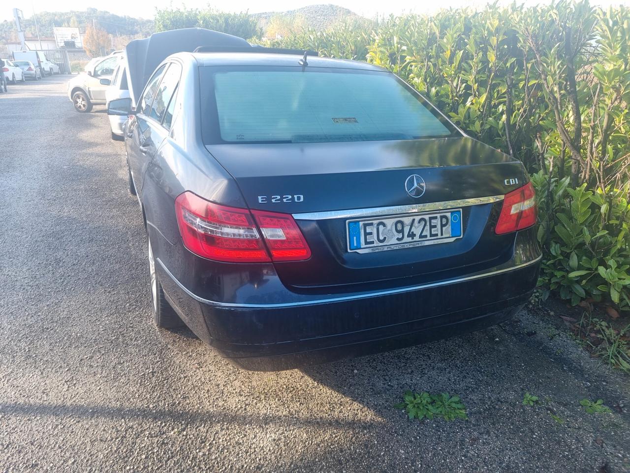 Mercedes-benz E 220 CDI cat EVO Avantgarde